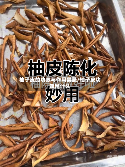 柚子皮的功效与作用禁忌/柚子皮功效是什么