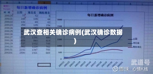 武汉查相关确诊病例(武汉确诊数据)