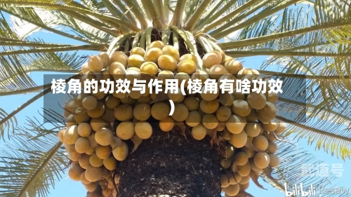棱角的功效与作用(棱角有啥功效)