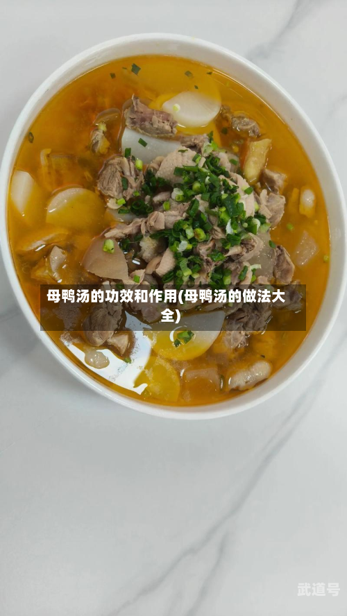 母鸭汤的功效和作用(母鸭汤的做法大全)