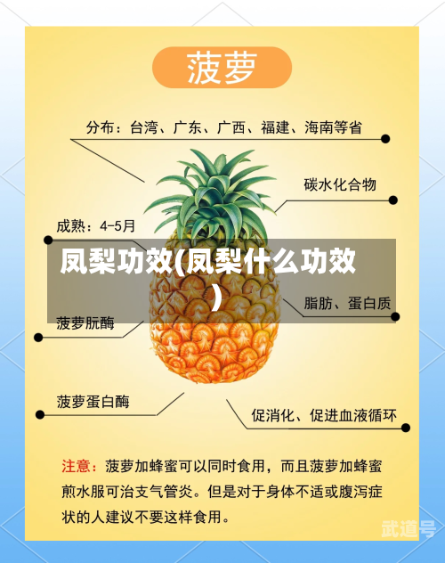 凤梨功效(凤梨什么功效)
