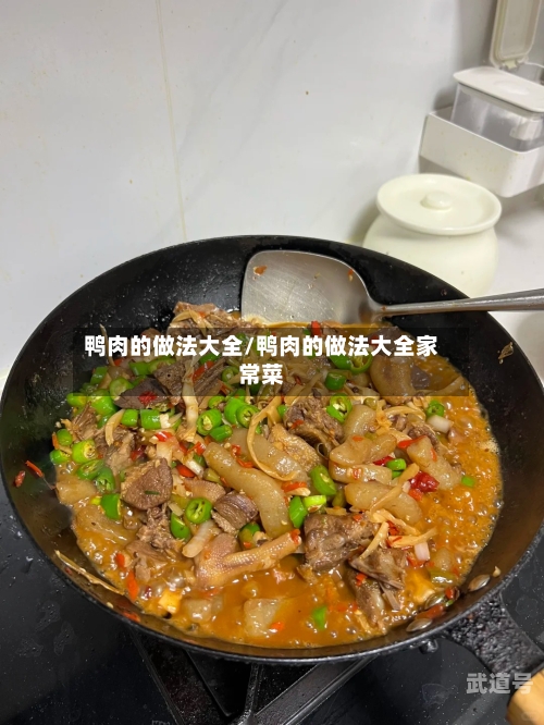 鸭肉的做法大全/鸭肉的做法大全家常菜