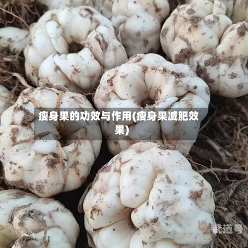 瘦身果的功效与作用(瘦身果减肥效果)