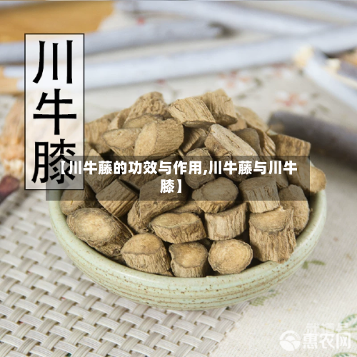 【川牛藤的功效与作用,川牛藤与川牛膝】
