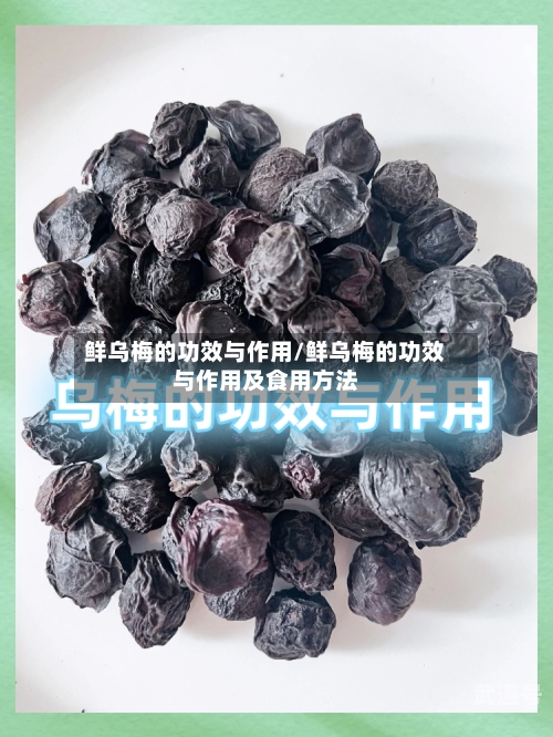 鲜乌梅的功效与作用/鲜乌梅的功效与作用及食用方法