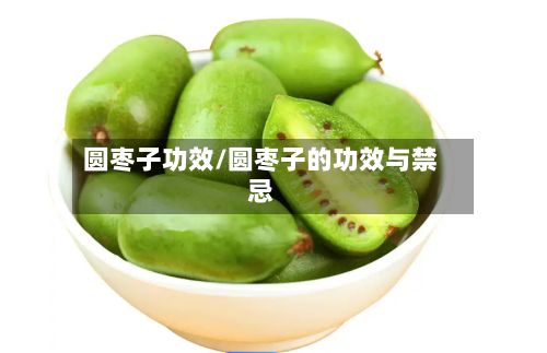 圆枣子功效/圆枣子的功效与禁忌