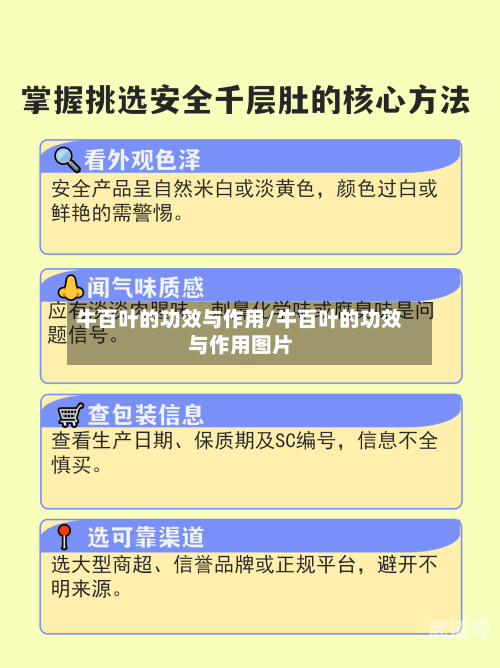 牛百叶的功效与作用/牛百叶的功效与作用图片