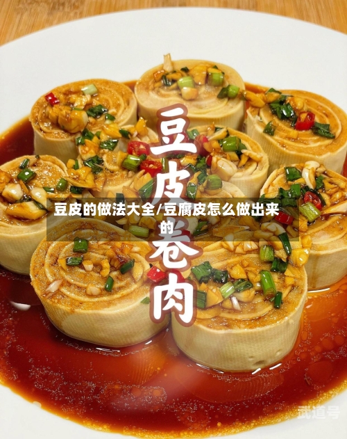 豆皮的做法大全/豆腐皮怎么做出来的