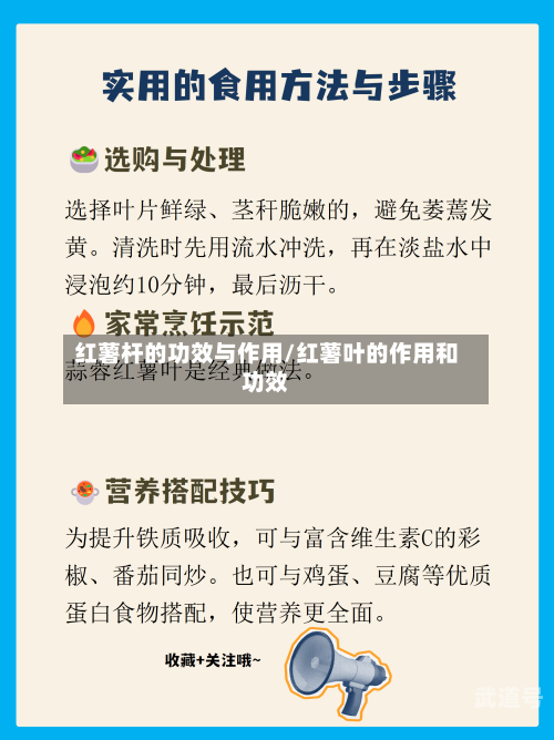 红薯杆的功效与作用/红薯叶的作用和功效