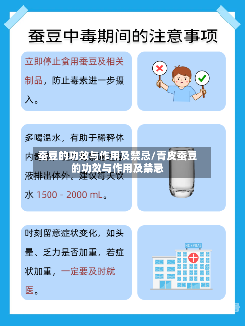 蚕豆的功效与作用及禁忌/青皮蚕豆的功效与作用及禁忌
