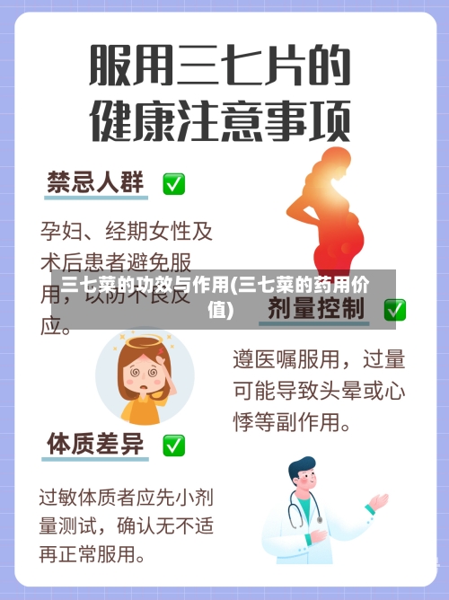 三七菜的功效与作用(三七菜的药用价值)