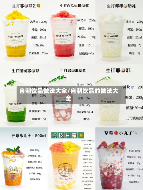 自制饮品做法大全/自制饮品的做法大全