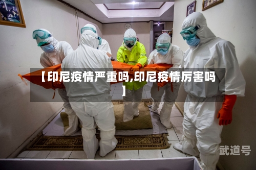 【印尼疫情严重吗,印尼疫情厉害吗】