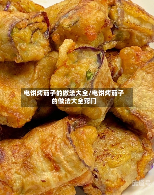 电饼烤茄子的做法大全/电饼烤茄子的做法大全窍门