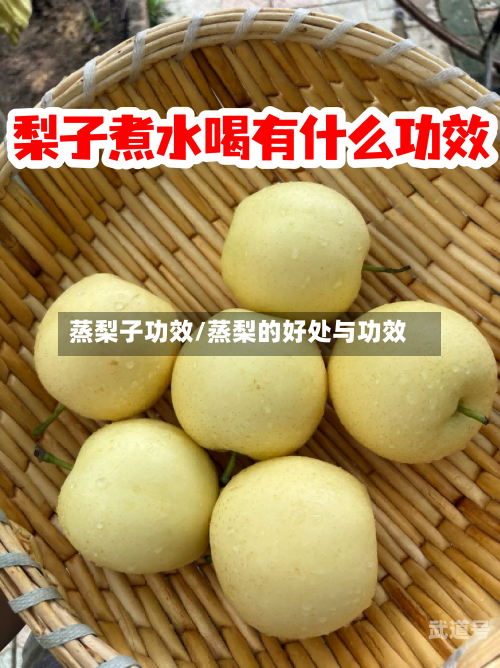 蒸梨子功效/蒸梨的好处与功效