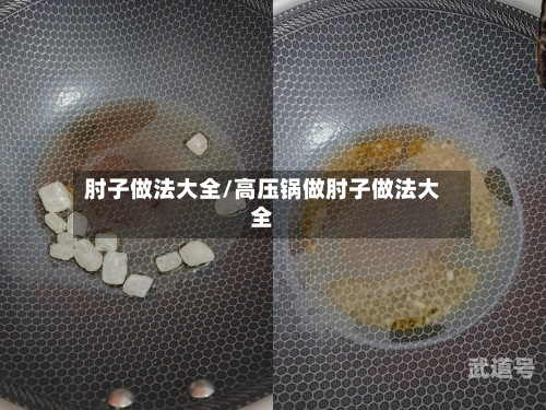 肘子做法大全/高压锅做肘子做法大全
