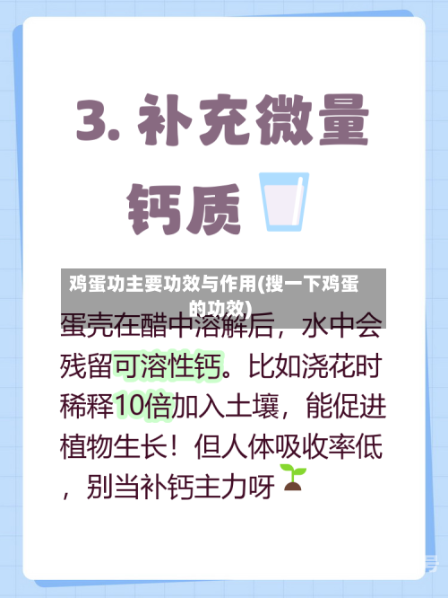 鸡蛋功主要功效与作用(搜一下鸡蛋的功效)