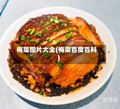 梅菜图片大全(梅菜百度百科)