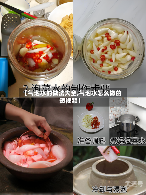 【气泡水的做法大全,气泡水怎么做的短视频】