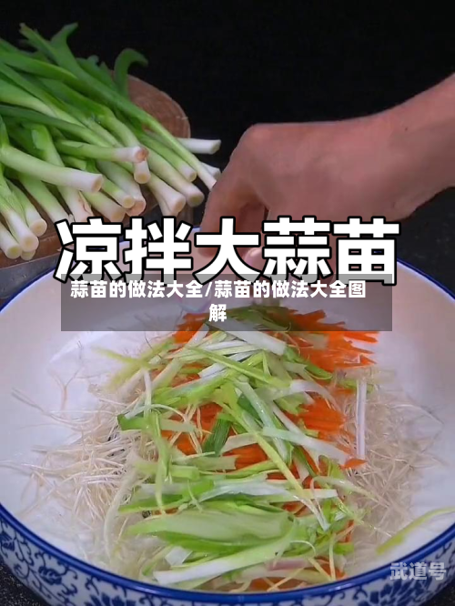 蒜苗的做法大全/蒜苗的做法大全图解