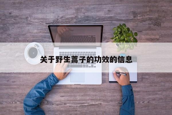 关于野生蒿子的功效的信息