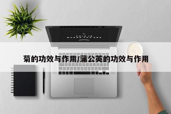 菊的功效与作用/蒲公英的功效与作用