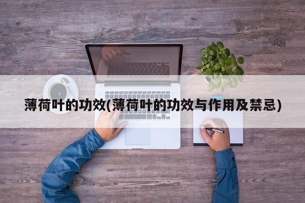 薄荷叶的功效(薄荷叶的功效与作用及禁忌)